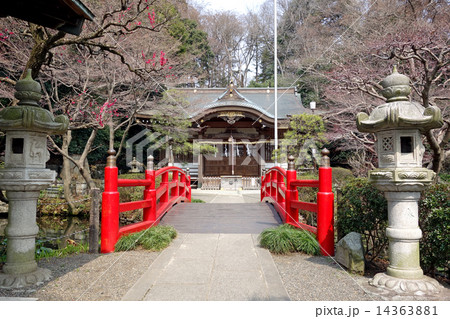 東京都小金井市の貫井神社2015/03 14363881