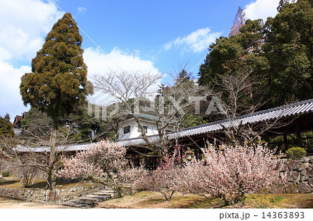 吉備津神社　回廊 14363893