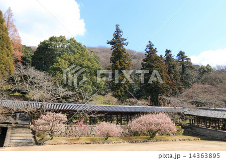 吉備津神社　回廊 14363895