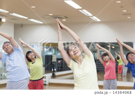 ヨガレッスン ヨガレッスン 14364068