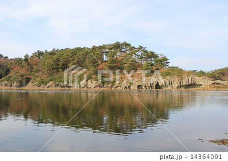 東松島 14364091