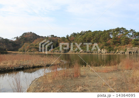 東松島 東松島 14364095
