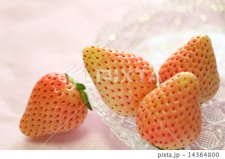 いちご 14364800