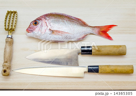 鯛をさばく 鯛をさばく 14365305