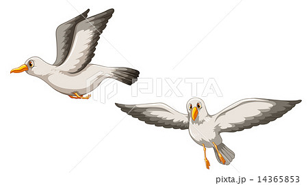 Birds Stock Illustration