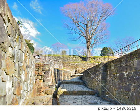 金山城跡 14366519