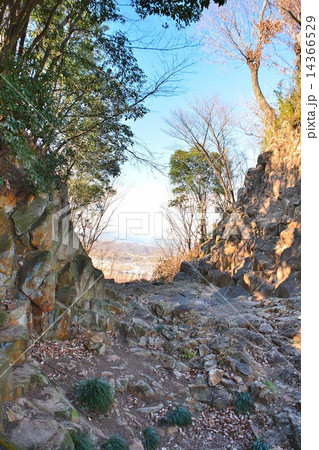 太田金山城 14366529