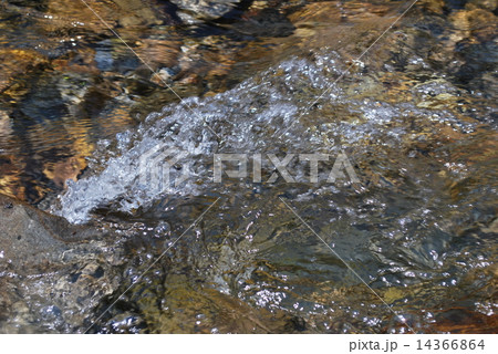 水 水 14366864