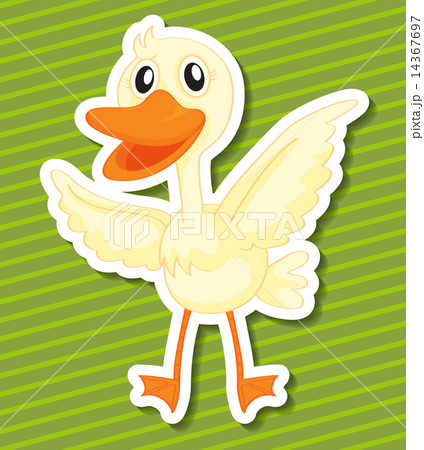 Duck 14367697