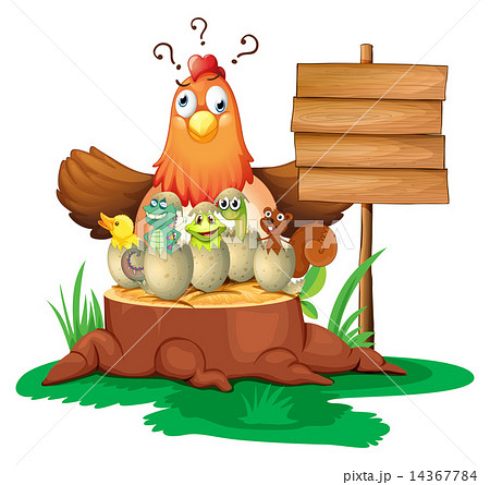 Chicken and eggs Chicken and eggs 14367784