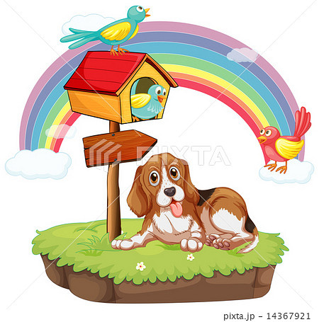 Dog and birds Dog and birds 14367921