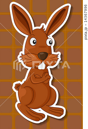 Rabbit Rabbit 14367996
