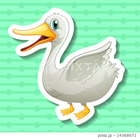 Duck 14368071
