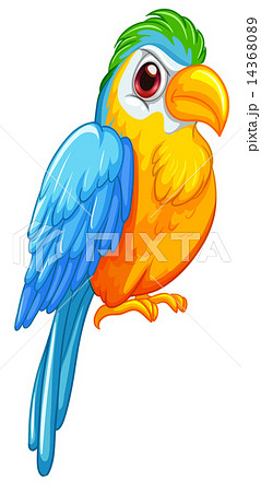 Parrot 14368089