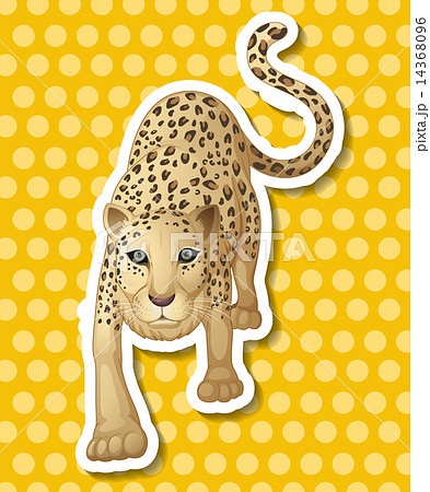 Leopard 14368096