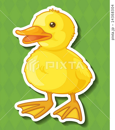 Duck Duck 14368304