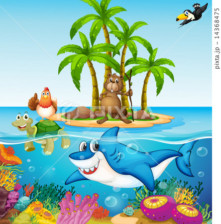 Ocean lives Ocean lives 14368475