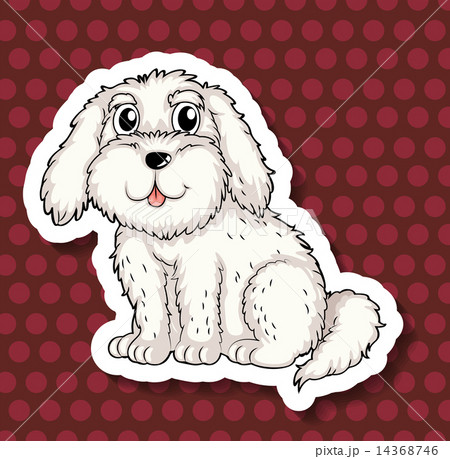 Dog Dog 14368746