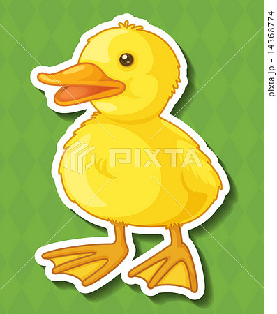 Duck 14368774