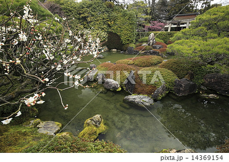 城南宮室町の庭 14369154