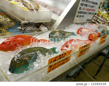 市場と魚 14369336