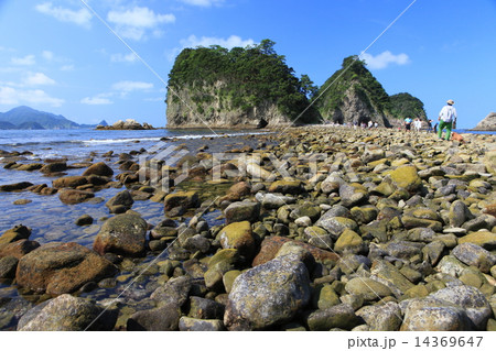 伊豆三四郎島 14369647