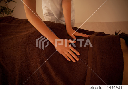 an innocent girl an innocent girl 14369814