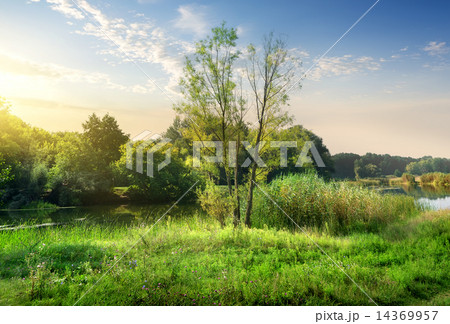 Calm backwater 14369957