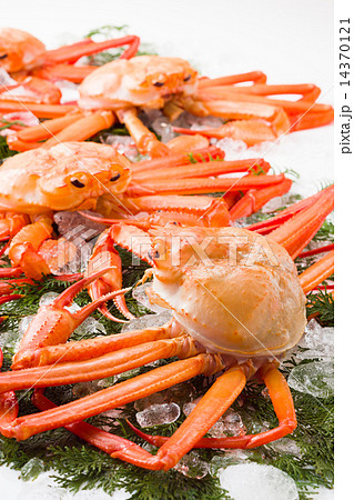 紅ズワイガニ 14370121