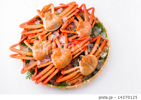 紅ズワイガニ 紅ズワイガニ 14370125