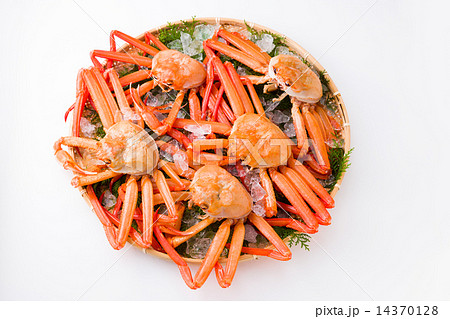 紅ズワイガニ 14370128