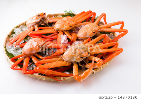 紅ズワイガニ 14370130