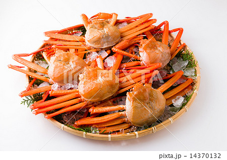 紅ズワイガニ 紅ズワイガニ 14370132