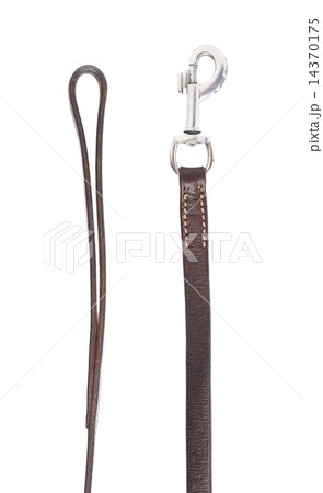 Fragments of the dog leash isolated 14370175