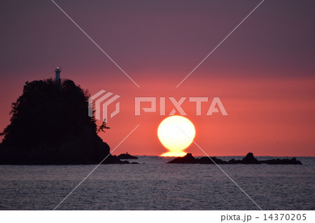 だるま朝日 だるま朝日 14370205