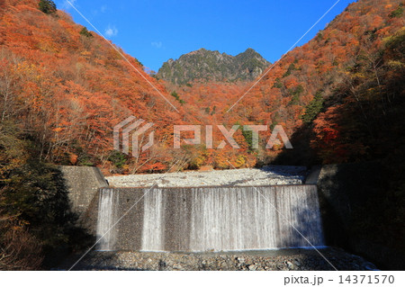 西沢渓谷と鶏冠山 14371570