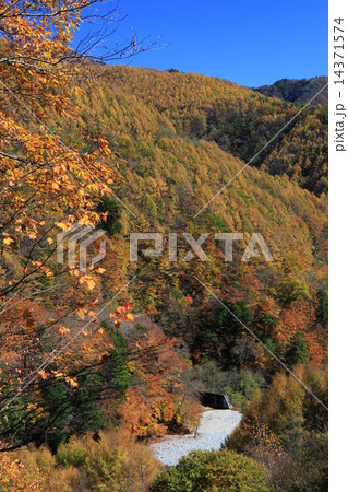 西沢渓谷紅葉 14371574