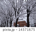 四高記念館の冬景色 14371675