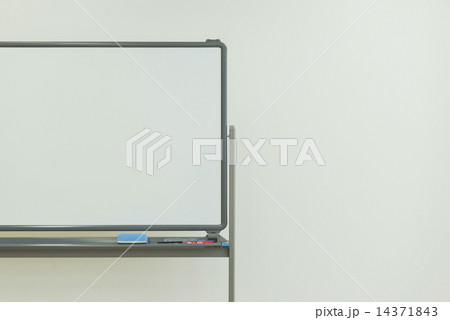 シニア英会話・ホームステイ 14371843