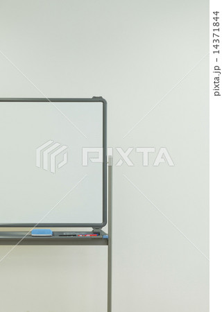 シニア英会話・ホームステイ 14371844