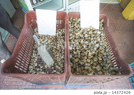 Snails in a crate on the market 14372426