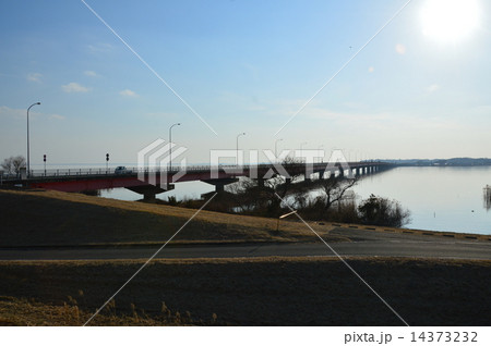 行方市側から見た「霞ヶ浦大橋」（茨城県行方市玉造甲） 14373232