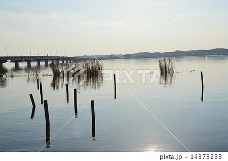 霞ヶ浦大橋･棒杭（茨城県行方市玉造甲） 14373233