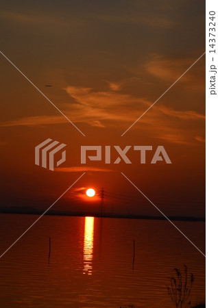 沈みゆく太陽(常陸利根川/茨城県潮来市) 沈みゆく太陽(常陸利根川/茨城県潮来市) 14373240