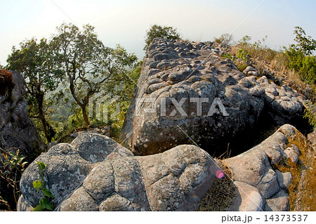 Viewpoint Laan Hin Pum at Phu Hin Rong Kla National Park, Phitsa 14373537