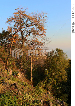 View in sunrise morning at Sri Nan national park, Nan ,Thailand 14373682