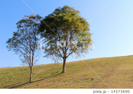 View at doi samer dao at Sri Nan national park, Nan ,Thailand 14373690