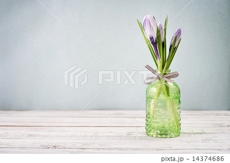 Crocus in vases Crocus in vases 14374686