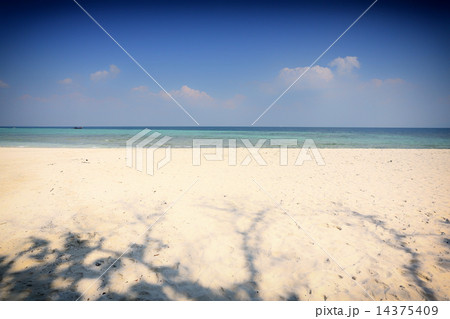 Tropical sunset on the beach. Krabi. Thailand 14375409