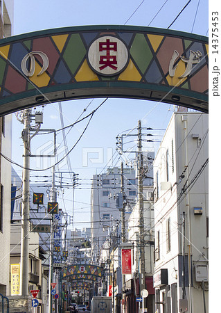 野毛小路 野毛小路 14375453